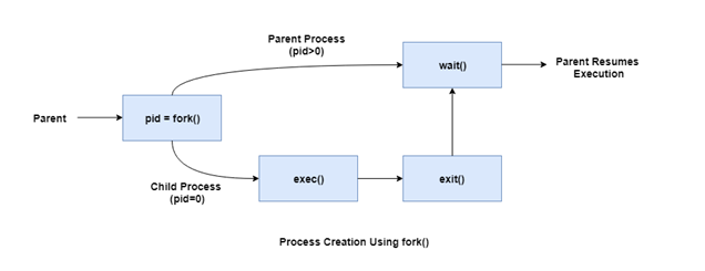 Process Creation using fork()